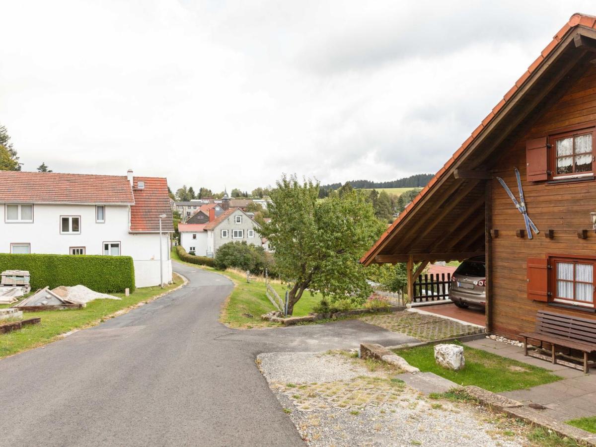 Chalet In Hinterrod Thuringia With Sauna Eisfeld Luaran gambar